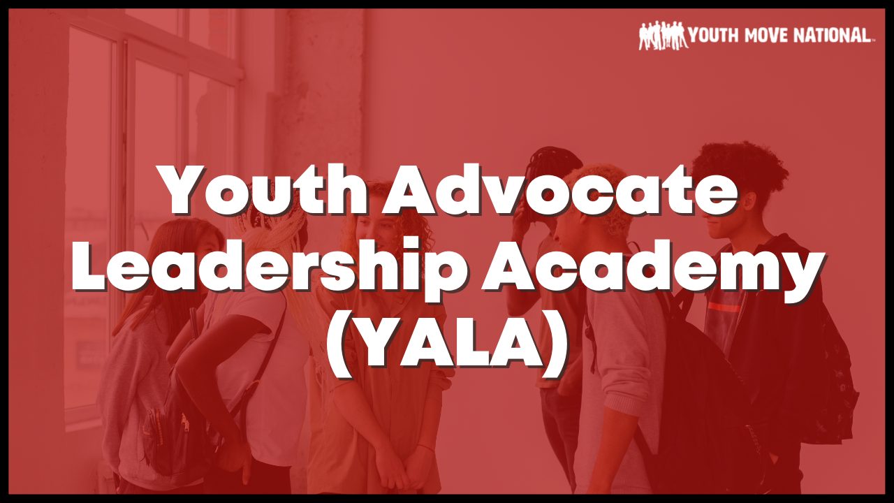 You are currently viewing Youth Advocate Leadership Academy – Impact Spotlight